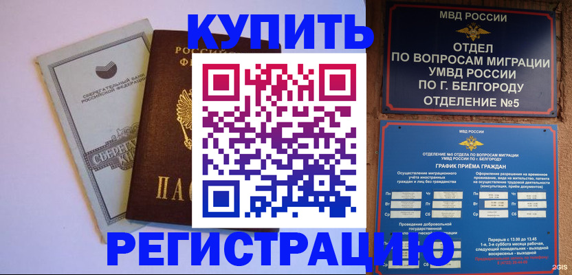 временная прописка в Светлогорске