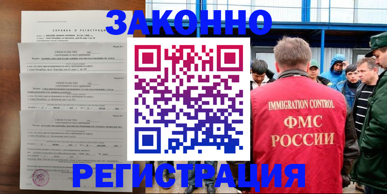 прописка поиск в Светлогорске